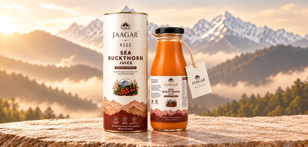 Himalayan Wisdom for Modern Living